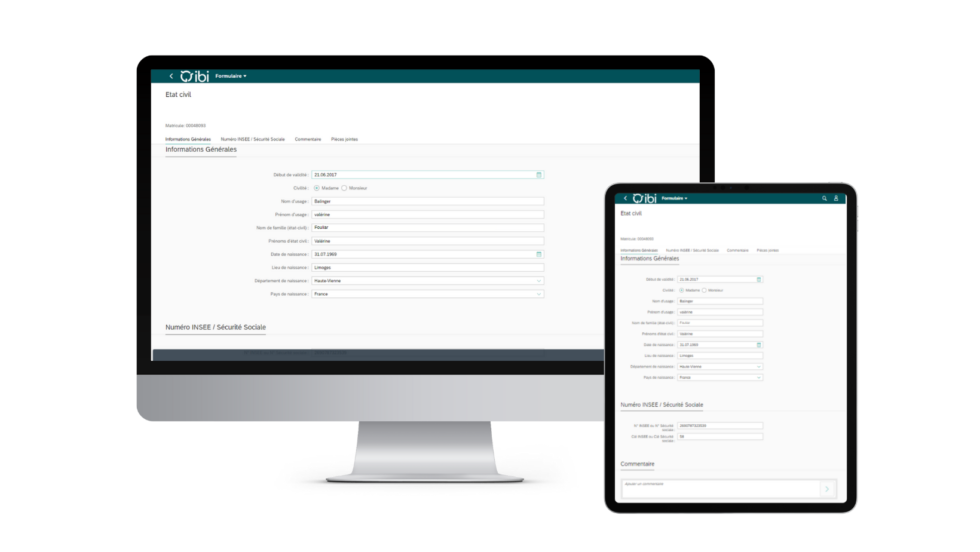 Process and forms SAP HR IBI